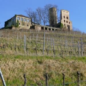 Die Strahlenburg und ihr Schlossberg