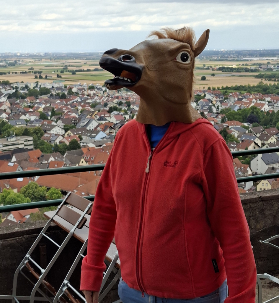 Person mit Pferdekopfmaske und roter Fleecejacke auf der Terrasse der Strahlenburg, im Hintergrund die Rheinebene.